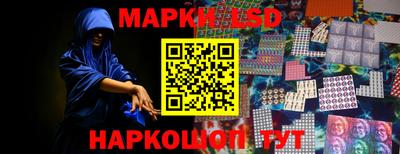 крисы Шебекино