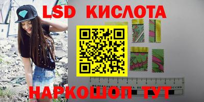 крисы Шебекино