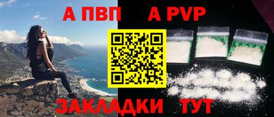 крисы Шебекино
