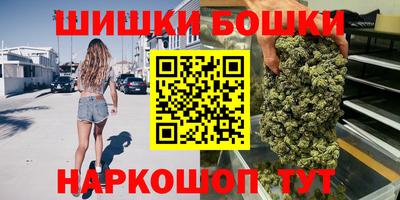 крисы Шебекино