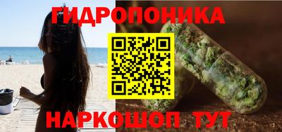 винт Шахты