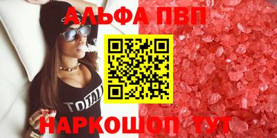 крисы Шебекино