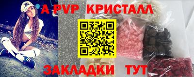 крисы Шебекино